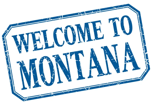 Montana - welcome blue vintage isolated label — Stock Vector