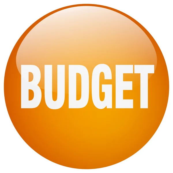 Бюджетний помаранчевий круглий гель ізольована кнопка — стоковий вектор