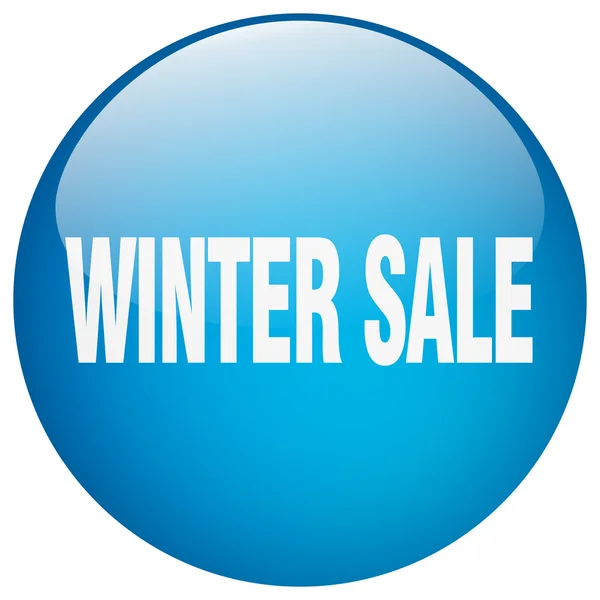 Inverno vendita blu rotondo gel isolato pulsante — Vettoriale Stock