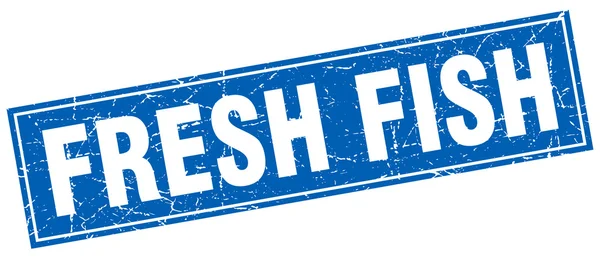 Frischer Fisch blauer quadratischer Grunge-Stempel auf weiß — Stockvektor