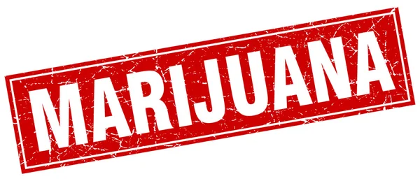 Marijuana rossa quadrata grunge timbro su bianco — Vettoriale Stock