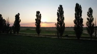  Yeşil bir arazide güzel bir gün batımı. Ağaçların arasında uçmak.