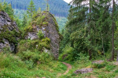 Ayıların mağarası, Periler Bahçesi, Borsec, Romanya 'yı çevreleyen kayalar