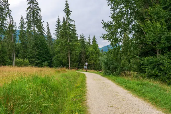 Periler Bahçesi, Borsec, Romanya 'dan bir yol