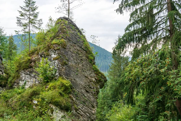 Rocas Que Rodean Cueva Los Osos Jardín Hadas Borsec Rumania — Foto de Stock