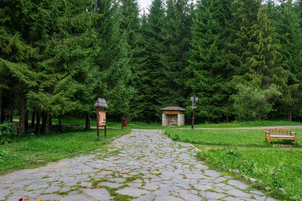 Buz mağarasına giden yol, Periler Bahçesi, Borsec, Romanya