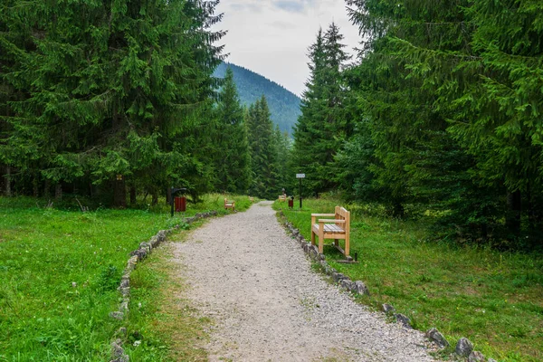 A path from the Fairies Garden, Borsec, Romania