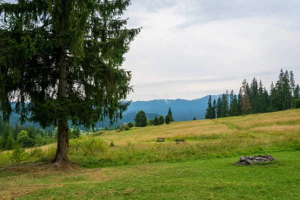 Lanskap Dari Taman Peri Borsec Rumania — Stok Foto