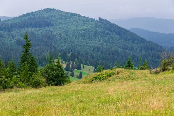 从罗马尼亚Borsec仙女园入口看到的山脉景观 — 图库照片