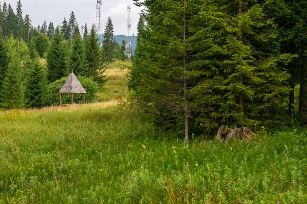 Widok Tradycyjną Łaźnię Ogrodową Wróżki Borsec Rumunia — Zdjęcie stockowe