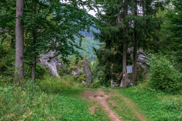 Ayıların Mağarasına Giden Yol Periler Bahçesi Borsec Romanya - Stok İmaj