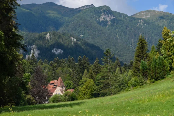 Vieux Château Isolé Sur Chemin Château Peles Sinaia Roumanie — Photo