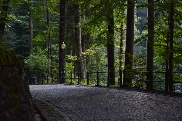 Peles Kalesi Sinaia Romanya Giden Yol Telifsiz Stok Imajlar