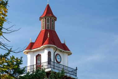 Targu Ocna belediye binasının kulesi, Bacau, Romanya