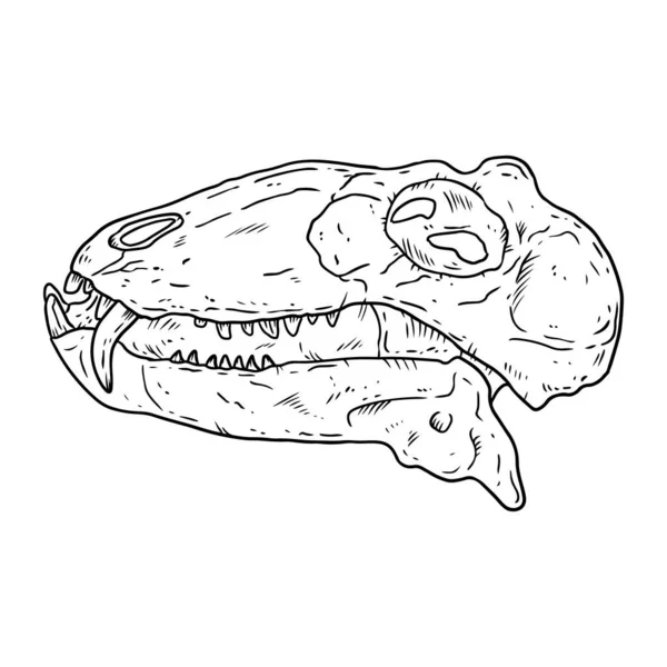 Evolusi Reptilストックベクター ロイヤリティフリーevolusi Reptilイラスト ページ 11 Depositphotos Evolusi Reptilストックベクター ロイヤリティフリーevolusi Reptilイラスト ページ 11 Depositphotos