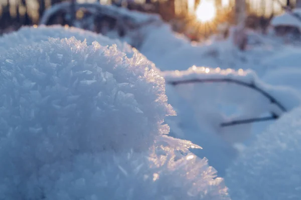 Crystal snow closeup. Snow in the sunset. Cold frosty day blurry background with snow in winter sun beams.