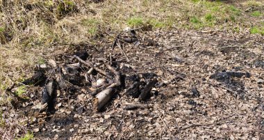 Sonra fireless şenlik ateşi kömür