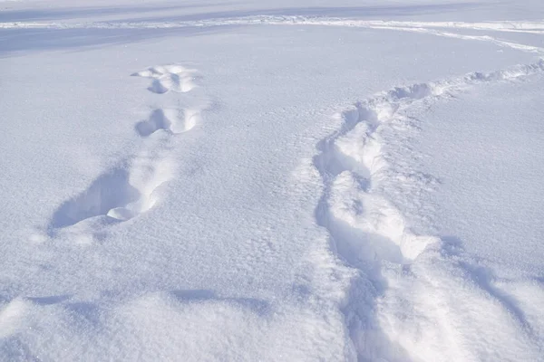 ふかふかの白い雪の上を雪上車で走るコース — ストック写真