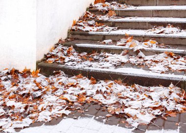 Düşen sonbahar yapraklı taş merdivenler ilk karla kaplıdır.