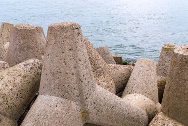 Dalgakıranın beton tetrapodları Baltık Denizi kıyısında. Hidrolik koruyucu yapı