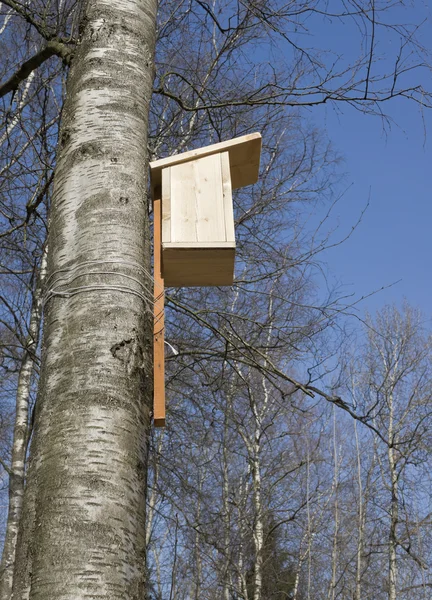 Birdhouse σε δέντρο — Φωτογραφία Αρχείου