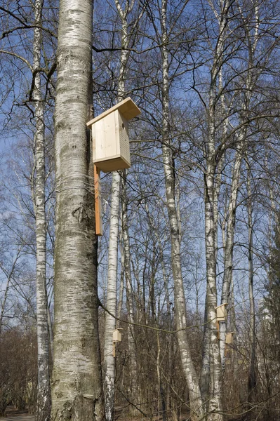 Birdhouse σε δέντρο — Φωτογραφία Αρχείου