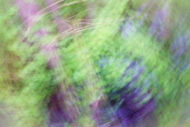 Arka plan yeşil ve mor