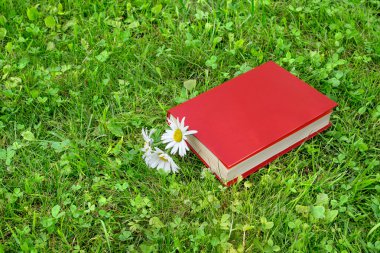 Kapalı kitap ve papatya çimenlerin üzerinde