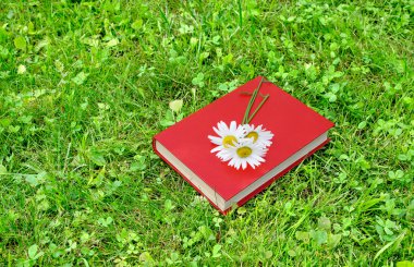 Kapalı kitap ve papatya çimenlerin üzerinde
