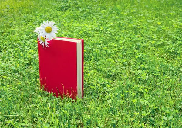 Libro cerrado y manzanilla sobre hierba — Foto de Stock