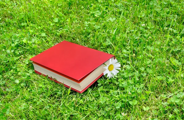 Gesloten boek en Kamille op gras — Stockfoto