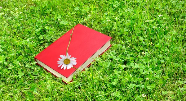 Livro fechado e camomila na grama — Fotografia de Stock