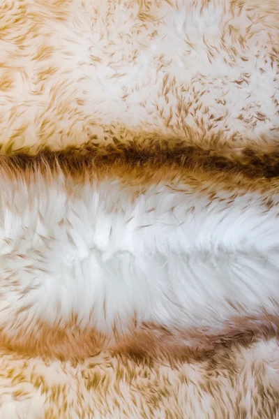 Tekstura futra owiec — Zdjęcie stockowe