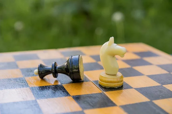 Chess pieces black queen defeated by a white knight on a chessboard