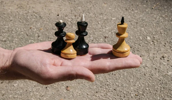 An example of treason and betrayal in a family on chess pieces: two kings, a queen and a pawn