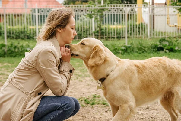 Chica Que Dueño Raza Perro Golden Retriever Juega Con Ella —  Fotos de Stock