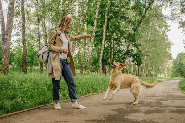 Ev sahibesi kız Golden Retriever köpeğiyle parkta yürüyor.