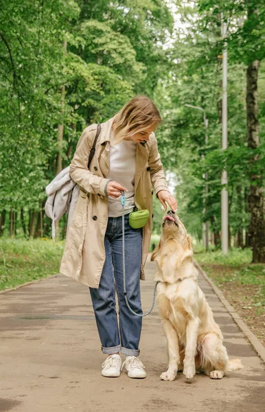 Chica Anfitriona Camina Parque Con Perro Golden Retriever Imágenes de stock libres de derechos