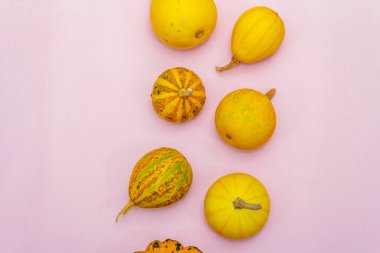 Sonbahar kompozisyonu. Pastel pembe arka planda balkabakları. Sonbahar ya da cadılar bayramı konsepti, düz yatak, üst görünüm