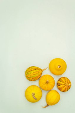 Sonbahar kompozisyonu. Pastel yeşil arka planda balkabakları. Sonbahar ya da cadılar bayramı konsepti, düz yatak, üst görünüm