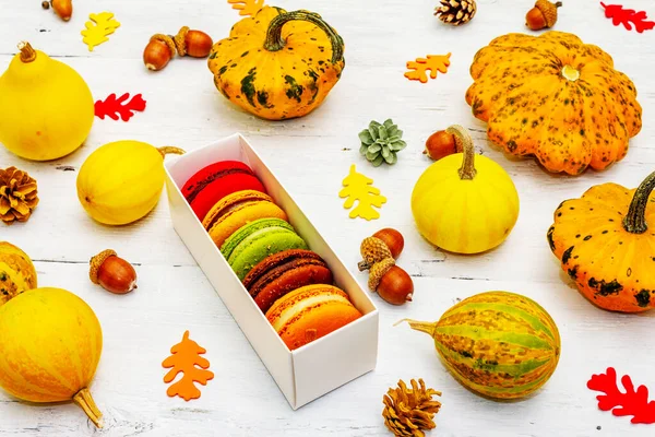 French macarons in autumn colors. Halloween dessert, Thanksgiving menu. Decorative pumpkins, fall leaves and acorns. White wooden boards background