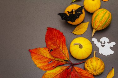 Cadılar Bayramı 'nın geleneksel sembolleri. Olgun balkabakları, yarasa ve hayalet. Rengarenk yapraklar, şenlik havası. Sonbahar siyah taş arka plan, üst görünüm
