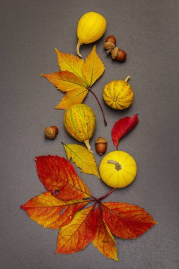 Dekoratif balkabakları, sonbahar yaprakları ve meşe palamudu. Şenlikli duvar kâğıdı, kart ya da sınır. Siyah taş arkaplan, üst görünüm