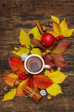Renkli sonbahar yapraklı sıcak çay, meşe palamudu, tarçın ve gül üzümü. Sonbahar yapraklarıyla iyi bir ruh hali. Eski tahta arka plan, üst görünüm