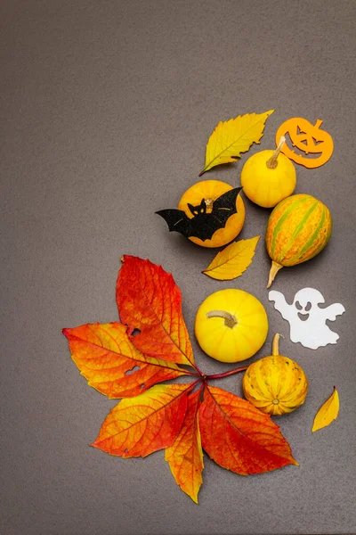 Hagyományos Jelképei Halloween Érett Sütőtök Denevér Szellem Őszi Színes Levelek — Stock Fotó