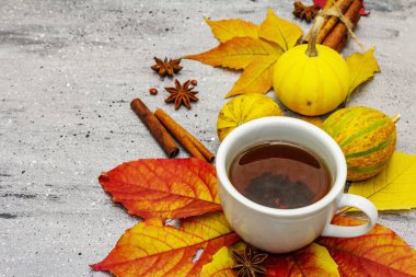 Sonbahar yapraklı sıcak çay, balkabağı, tarçın çubukları ve yıldız anason. Mutlu olmak için renkli sonbahar yaprakları. Gri taş masa, boşluğu kopyala