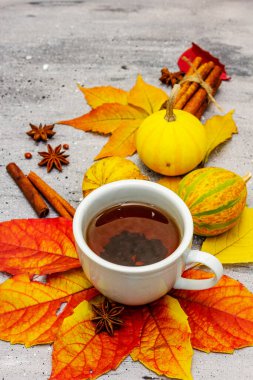 Sonbahar yapraklı sıcak çay, balkabağı, tarçın çubukları ve yıldız anason. Mutlu olmak için renkli sonbahar yaprakları. Gri taş masa, kapat.