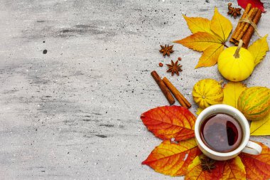 Sonbahar yapraklı sıcak çay, balkabağı, tarçın çubukları ve yıldız anason. Mutlu olmak için renkli sonbahar yaprakları. Gri taş masa, üst manzara.
