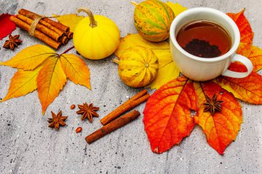 Sonbahar yapraklı sıcak çay, balkabağı, tarçın çubukları ve yıldız anason. Mutlu olmak için renkli sonbahar yaprakları. Gri taş masa, kapat.