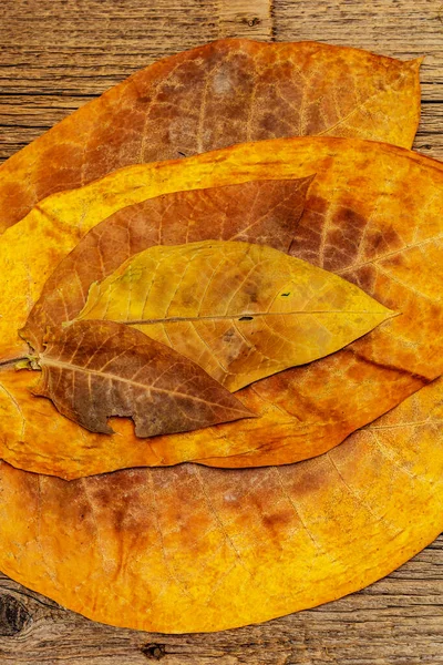 Raue Trockene Tabakblätter Hochwertige Große Blatt Bereit Zigaretten Gemacht Werden — Stockfoto